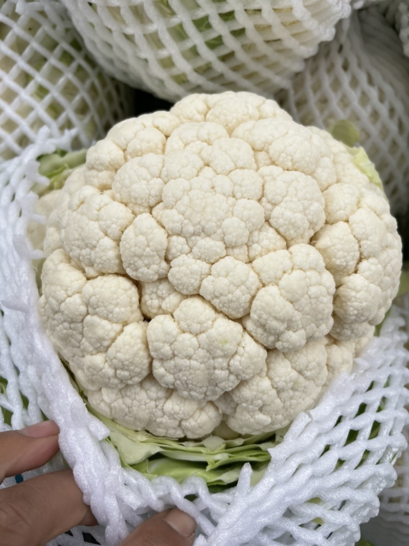 【推荐】河北花菜一手货源供应市场商超电商量大价优