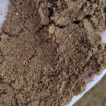 优质花椒面，味道特香产地一手货源精品，***剂粉质细