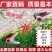 番茄西红柿吊秧夹大棚夹子吊蔓夹绑蔓夹扶蔓夹黄瓜夹方口嫁接