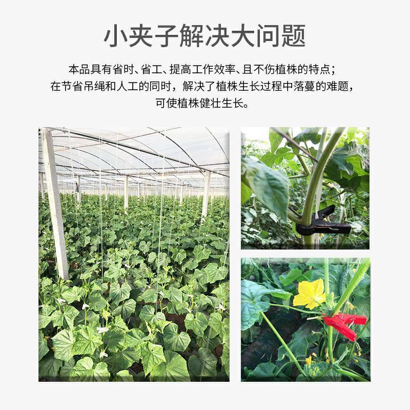 番茄西红柿吊秧夹大棚夹子吊蔓夹绑蔓夹扶蔓夹黄瓜夹方口嫁接