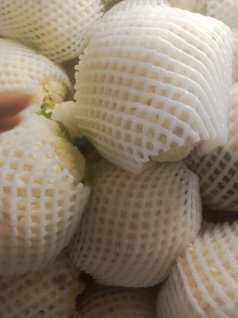 精品菜花，大量有货。