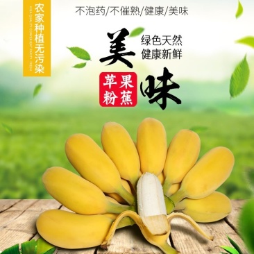 广东高州苹果蕉包邮