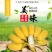 广东高州苹果蕉包邮