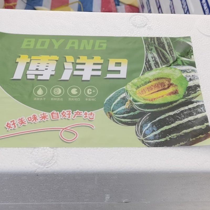 山东聊城莘县博洋九，皮薄肉多，汁水多，口感好，