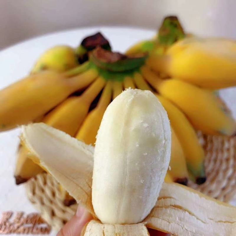 广东高州苹果蕉包邮