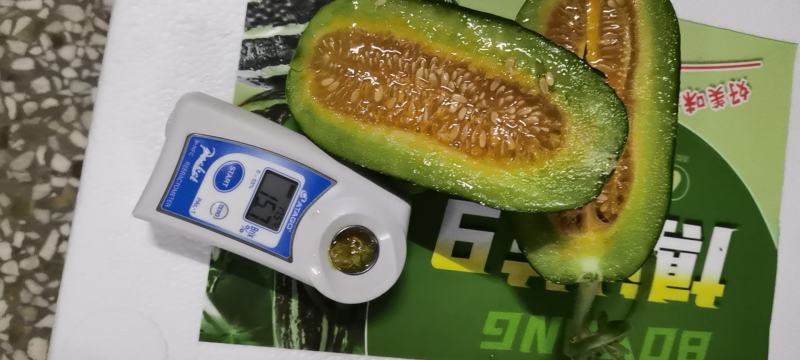 山东聊城莘县博洋九，皮薄肉多，汁水多，口感好，