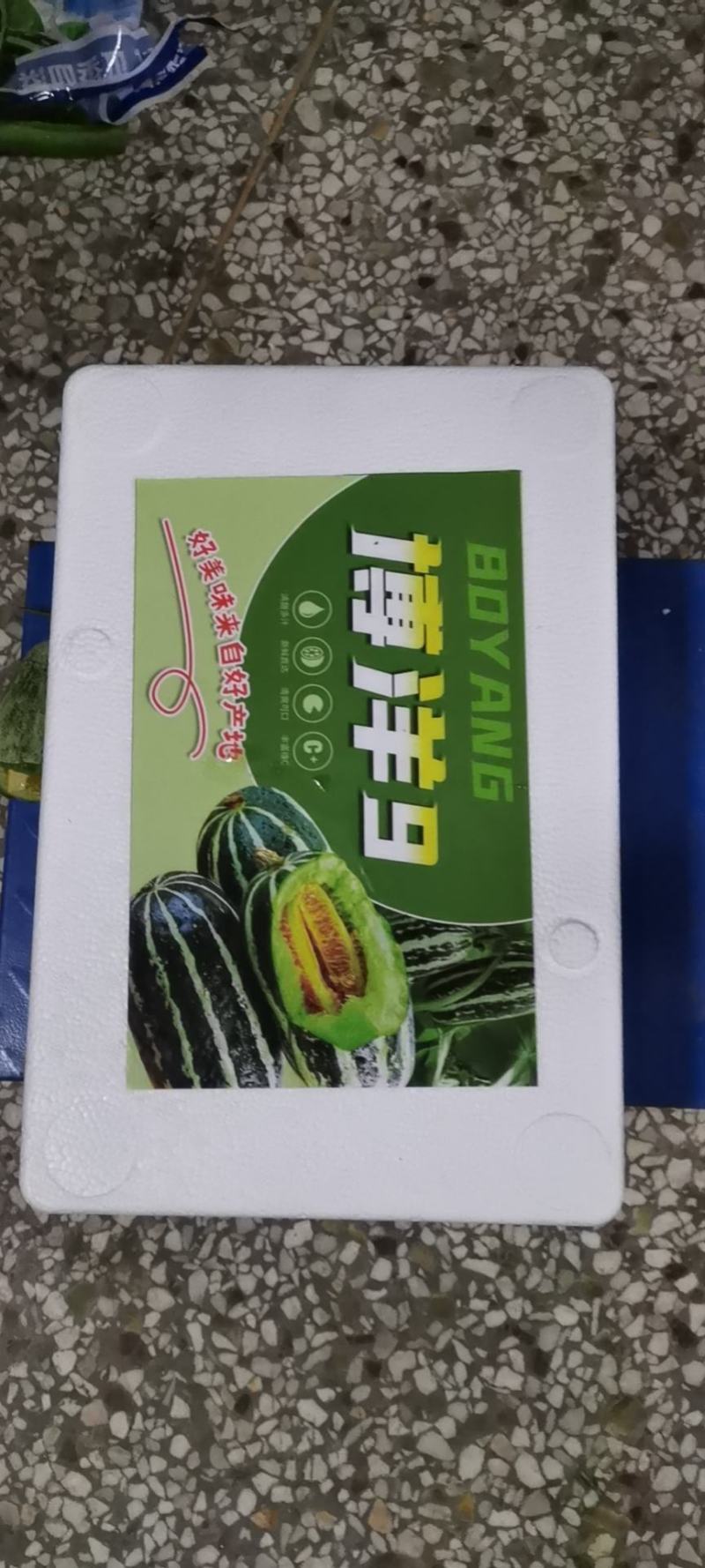 山东聊城莘县博洋九，皮薄肉多，汁水多，口感好，