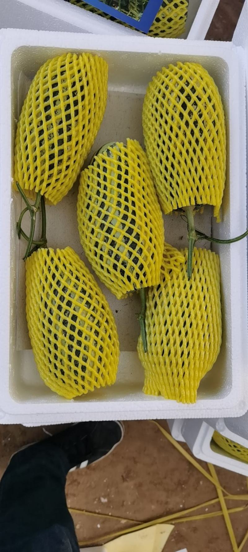 山东聊城莘县博洋九，皮薄肉多，汁水多，口感好，