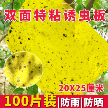 双面防水粘虫板诱虫板黄板果园大棚小黑飞粘板蓝板粘蓟马