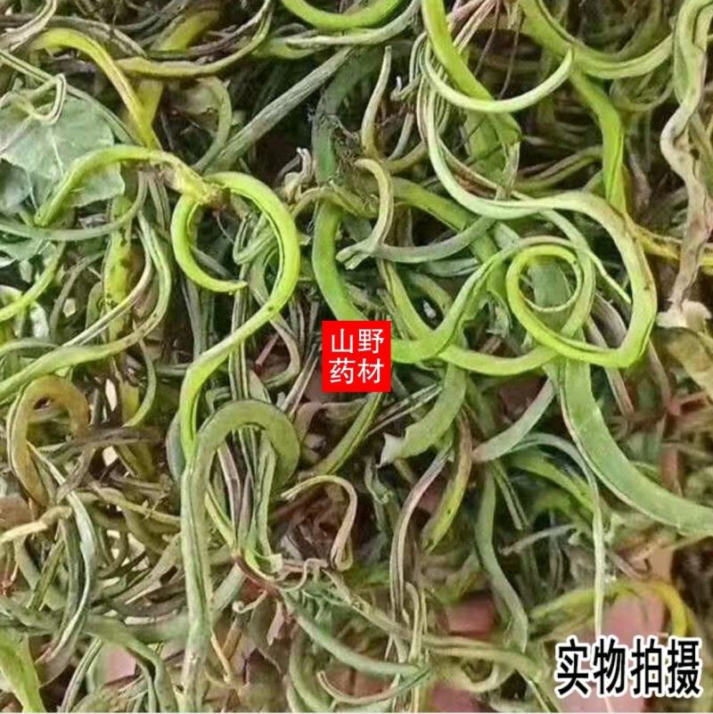 250g包邮老挝野生中草药化石草肾精草