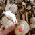云南野生葛根粉现磨超细葛根粉500g