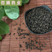 补骨脂颗粒饱满中药材批发今年新货质量保证