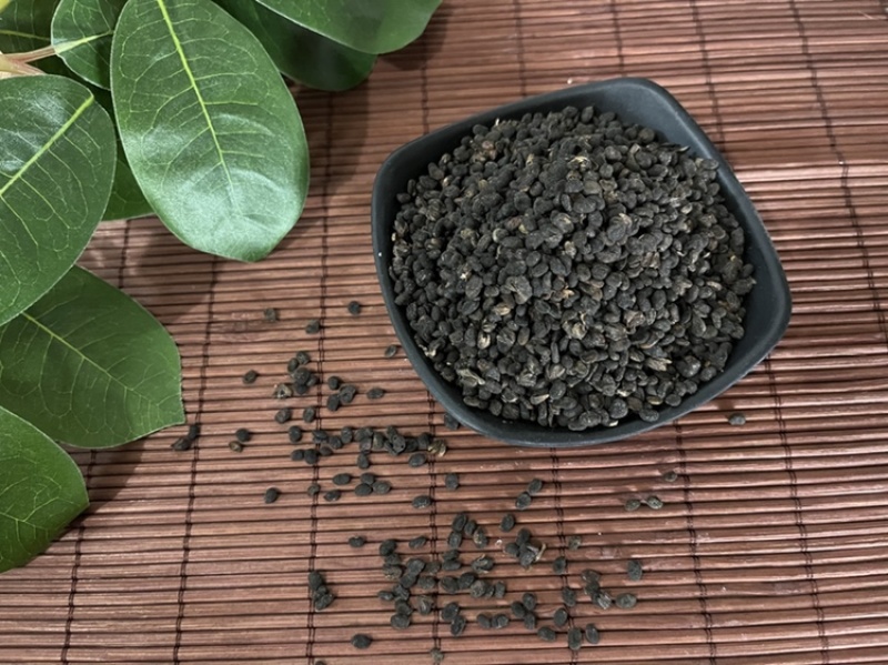 补骨脂颗粒饱满中药材批发今年新货质量保证