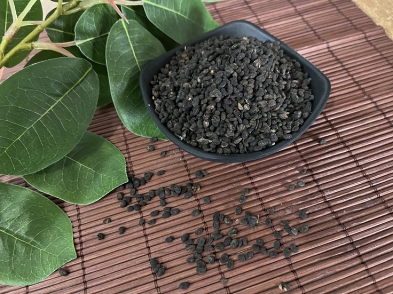 补骨脂颗粒饱满中药材批发今年新货质量保证