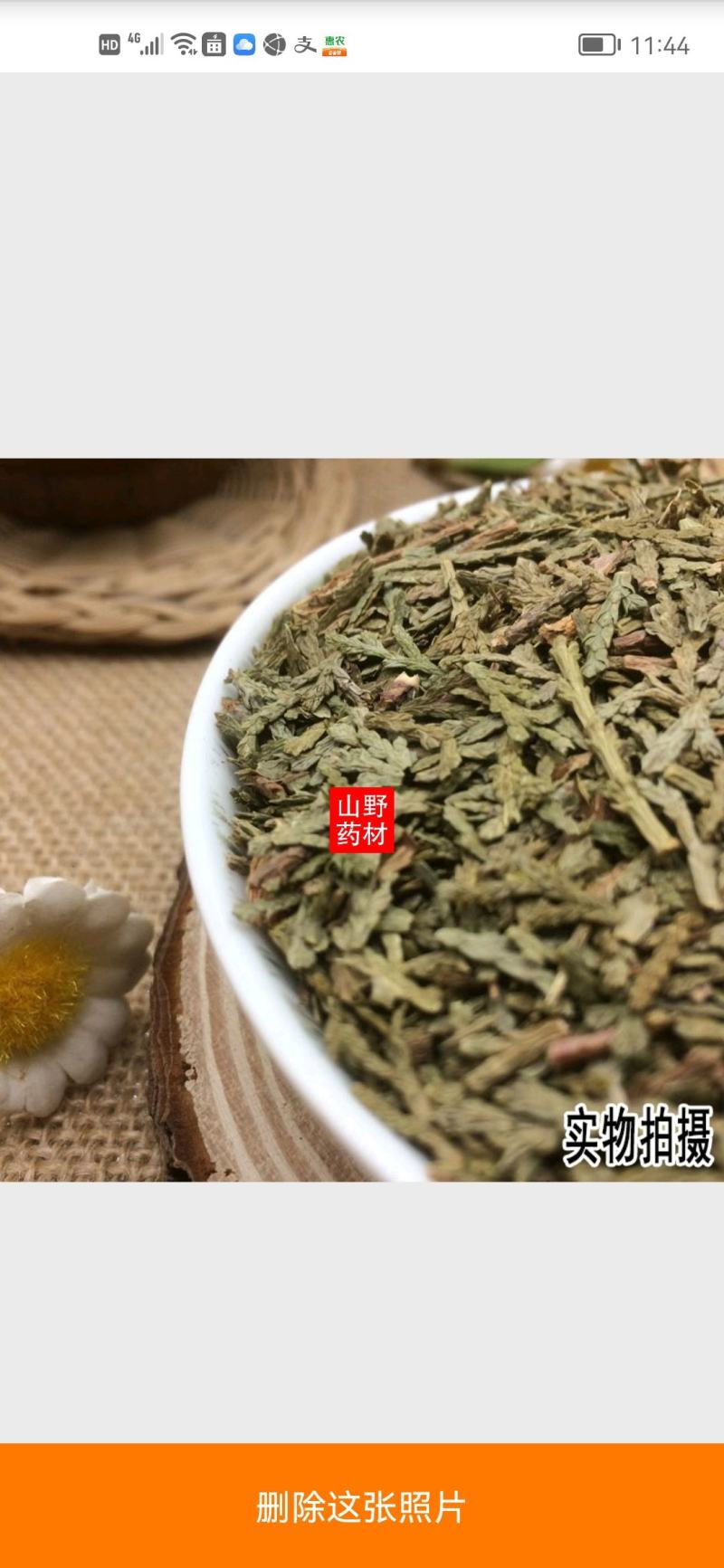 云南野生中药材侧柏叶干侧柏叶柏树叶500g包邮