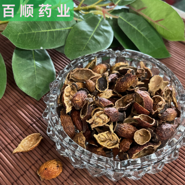 金樱子金樱肉实图拍摄货品新鲜无核无硫金樱子