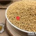 云南野生中药材白芥子辣菜子芥菜子500g包邮