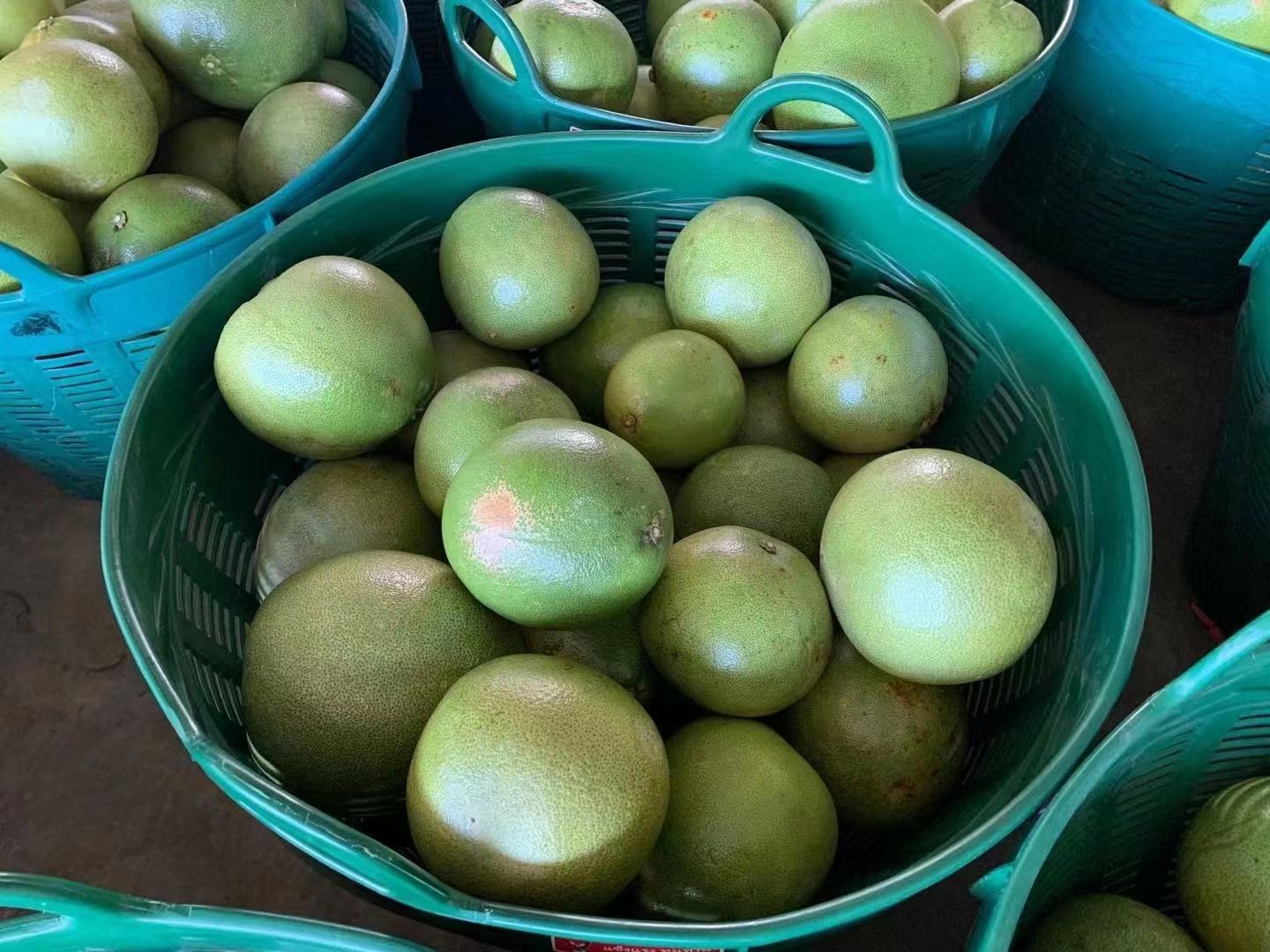 泰国蜜柚堆放在木筐中，果皮呈淡黄绿色，表面光滑有光泽，背景为热带果园环境