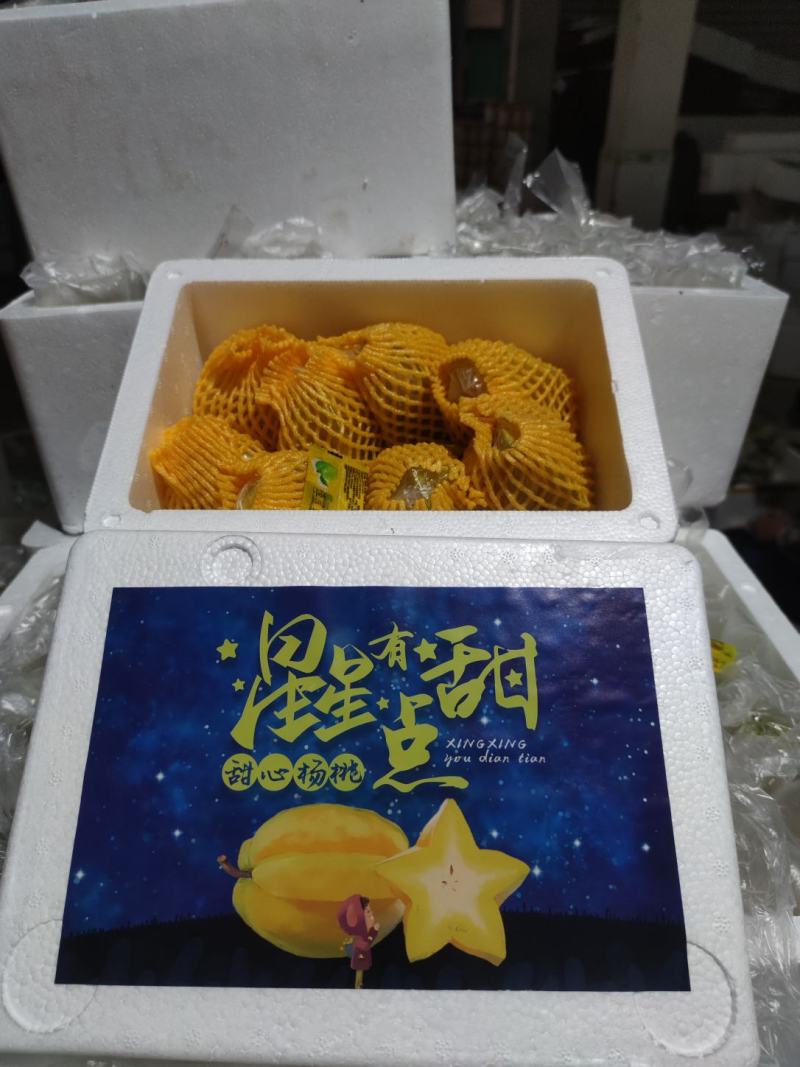 福建/漳州/下河杨桃/星星有点甜/甜心杨桃/送酸梅粉