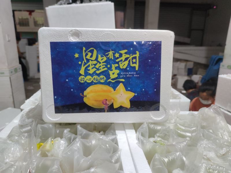 福建/漳州/下河杨桃/星星有点甜/甜心杨桃/送酸梅粉