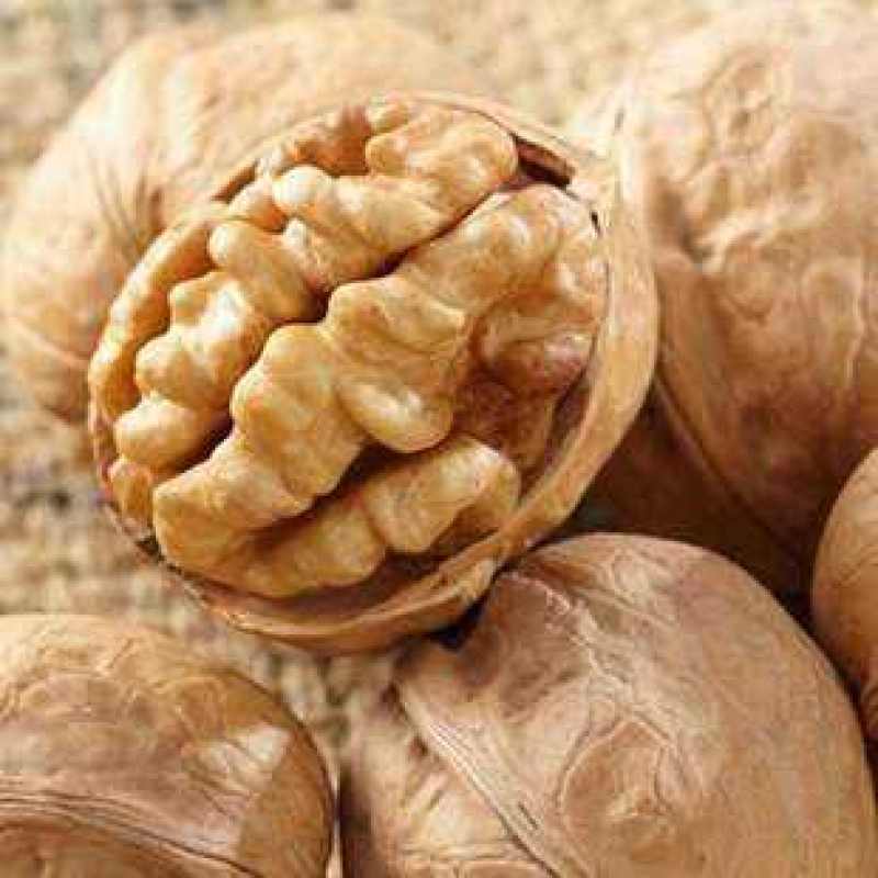 【热】厂家直发新疆核桃185纸皮核桃商超品质货源稳定