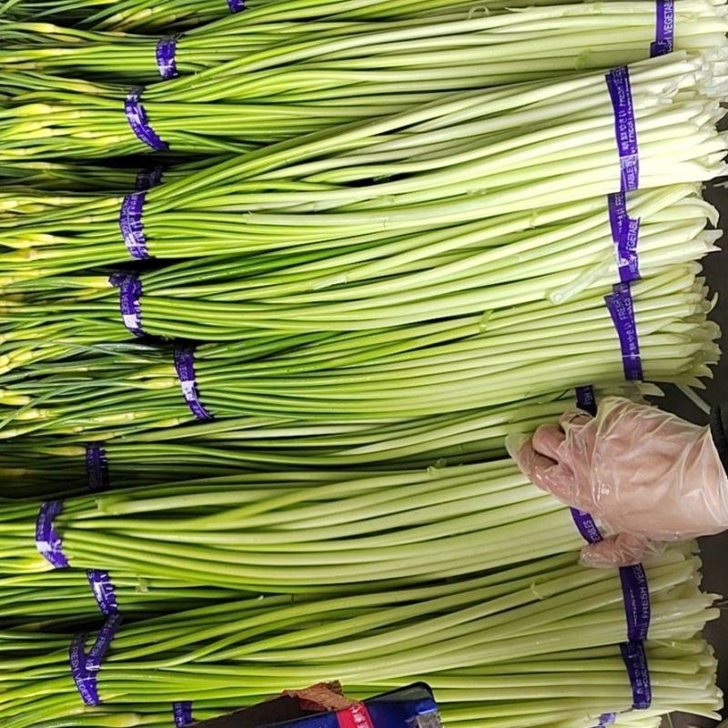 蒜薹