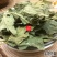云南中药材桑叶霜后桑叶冬桑叶干桑叶500g