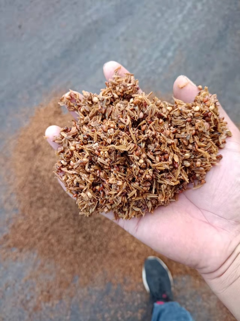 高粱酒糟，一手货源厂家直发，高粱含量百分之七十。