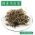 寻百草野生马齿苋药材马齿笕干药用马齿菜菜中药马苋菜食用