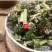 云南野生中药材益母草生理期选择500g包邮9.9