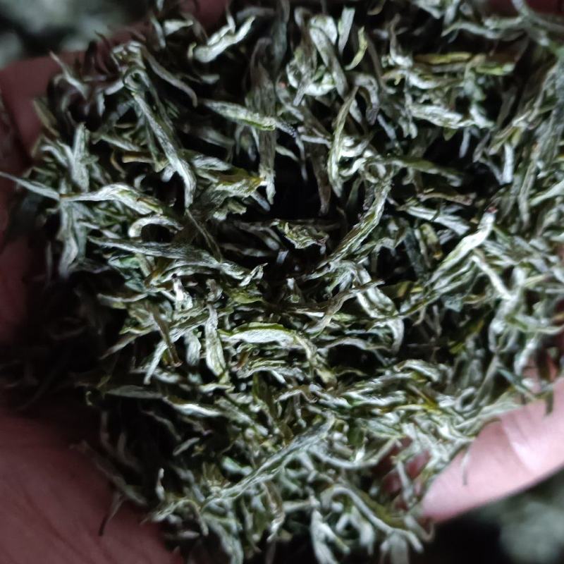 高山云雾茶