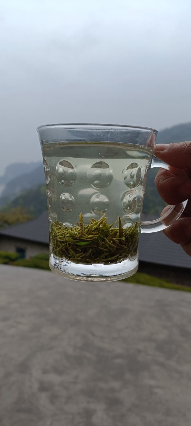 高山云雾茶