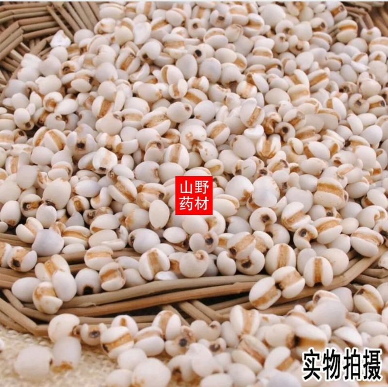 农家特产薏苡仁天然薏米薏米仁薏仁米苡仁500g