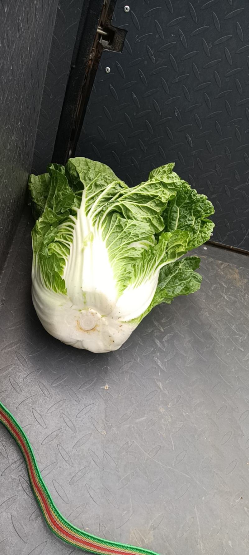 本人从事白菜代办很多年，有单子的老板跟我说，诚信第一。