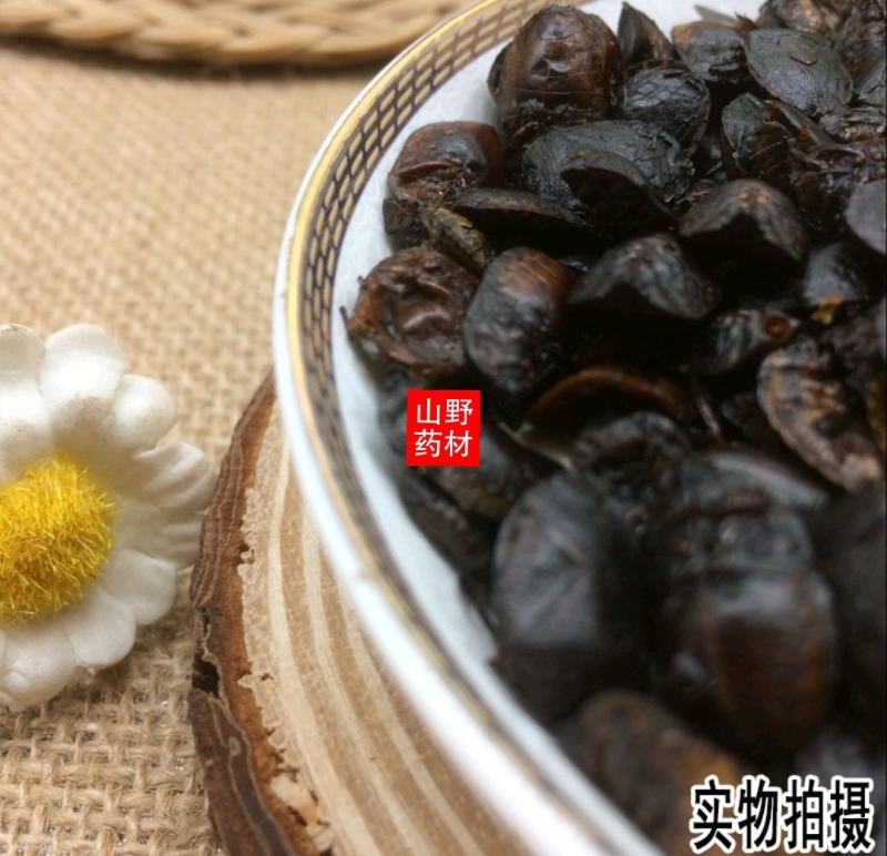 云南中药材九香虫炒九香虫小九香虫打屁虫250g包