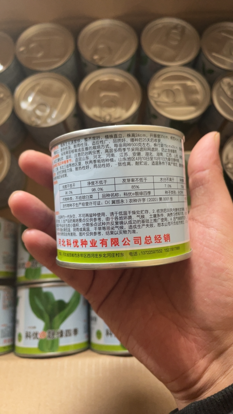 科优四季靓绿四季上海青种子净含量10-100克耐热耐雨