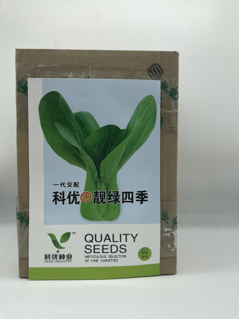 科优四季靓绿四季上海青种子净含量10-100克耐热耐雨