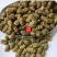 云南铁皮石斛干打粉多胶枫斗干品煲汤料500g包邮