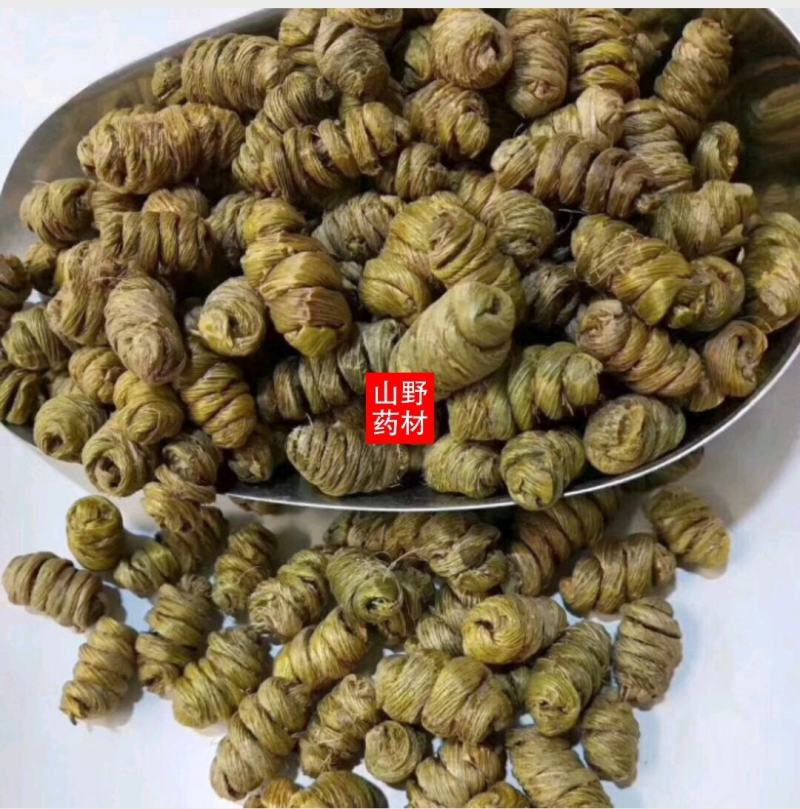 云南铁皮石斛干打粉多胶枫斗干品煲汤料500g包邮