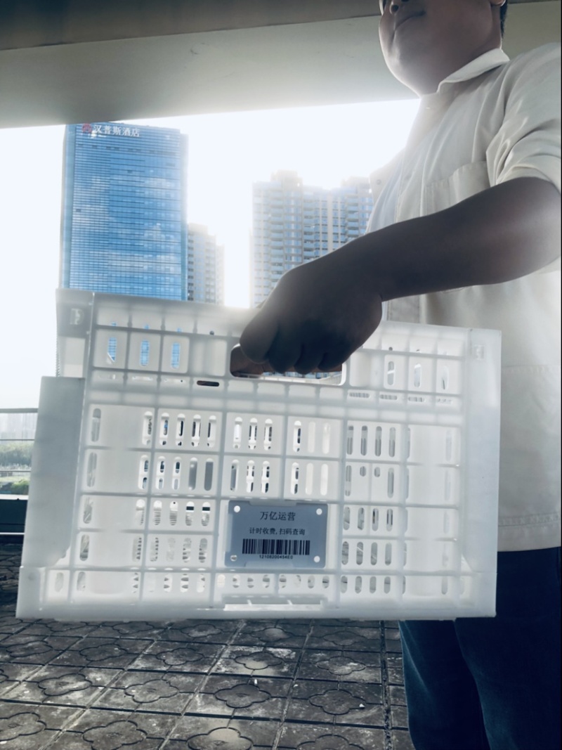 一次性果蔬周转箱