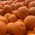 优选奉节脐橙——72-1光头果系列新鲜皮薄现摘现发