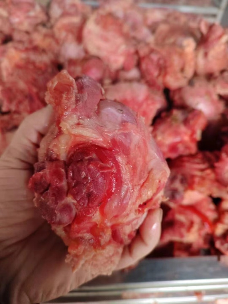 猪腱子肉（门市，饭店，展会）