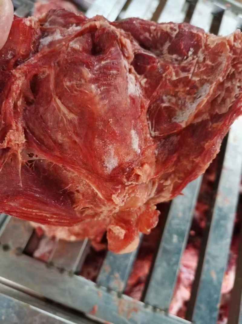猪腱子肉（门市，饭店，展会）