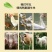 江西现货供应压缩稻壳打包谷壳蘑菇种植养殖垫料酿酒制醋燃料