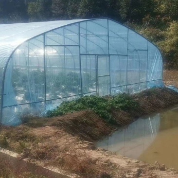 种植棚性价比高成本低经济实惠