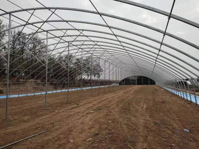 种植棚性价比高成本低经济实惠