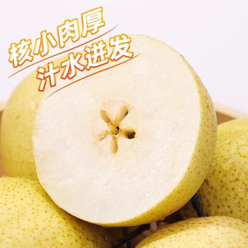 陕西酥梨大量上市，产地直销，味美多汁，欢迎采购