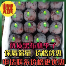 黑布林李子大量上市，质量保障价格优惠，欢迎采购