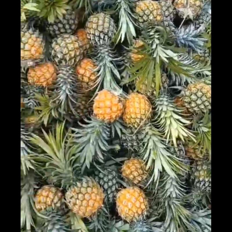 小果，现货，附近的可以直接装，地点，白河桥