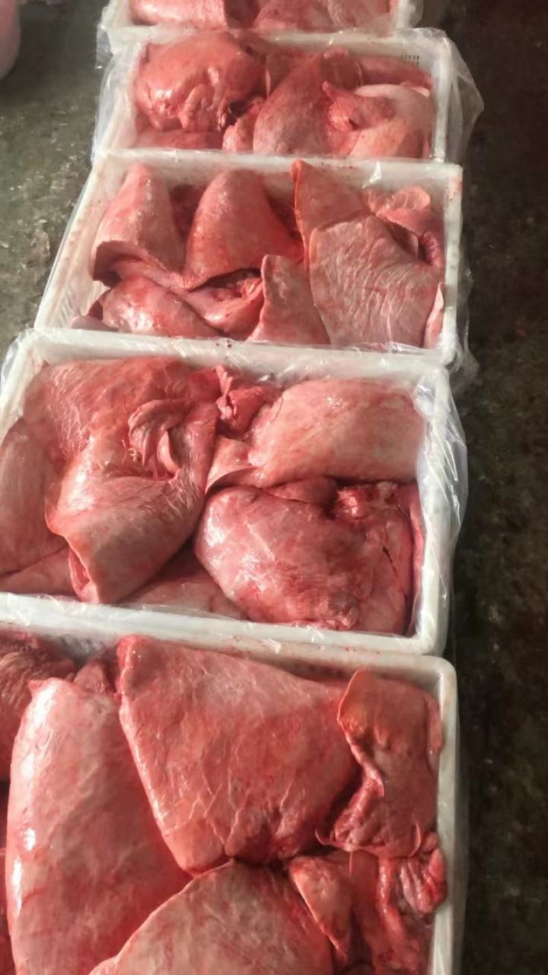 牛肺子现货30吨，全国接单中，支持一件样品发货